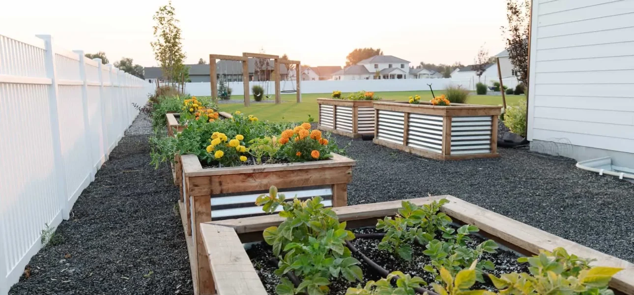 Chelsie_Image_73_SEO