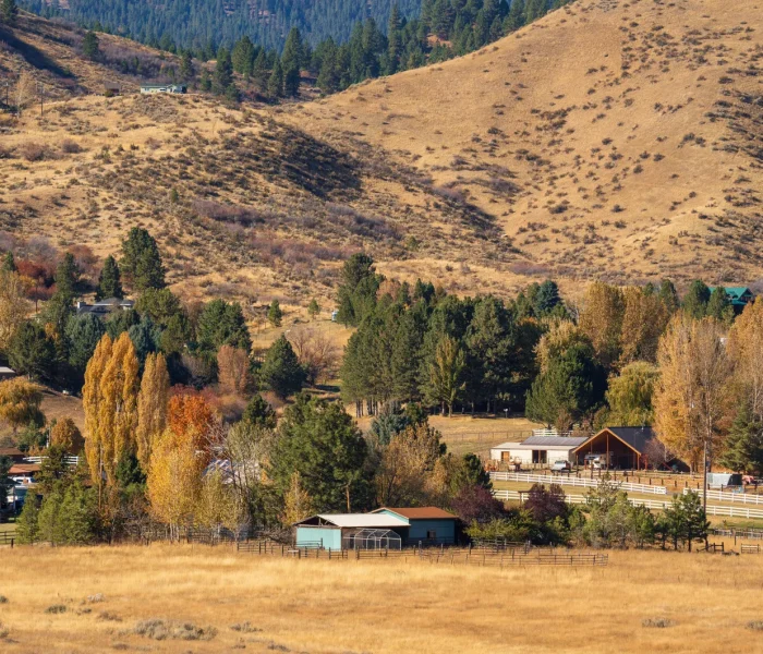 Fremont County_SEO