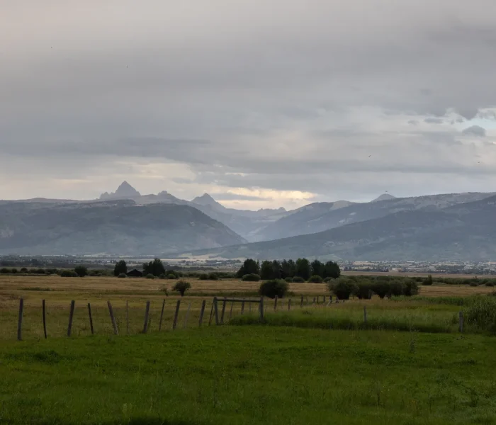 Teton County_SEO